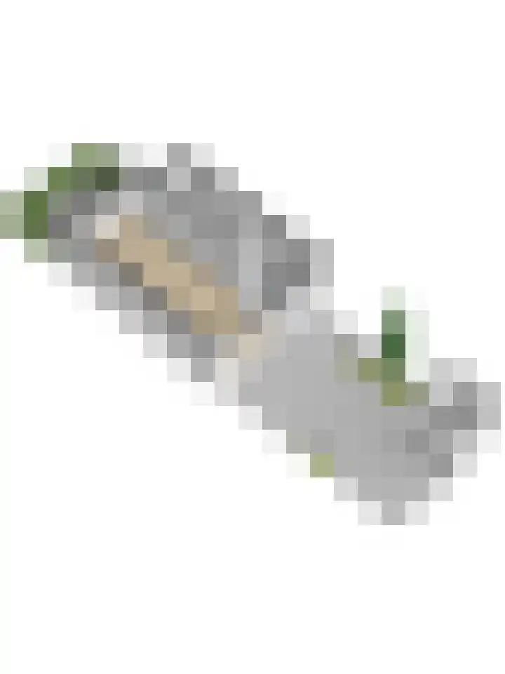Majellapark 25 Utrecht thumbnail 39