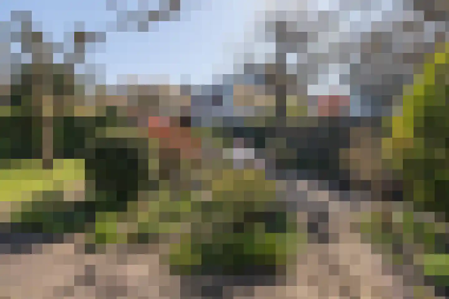Majellapark 28 Bussum thumbnail 36