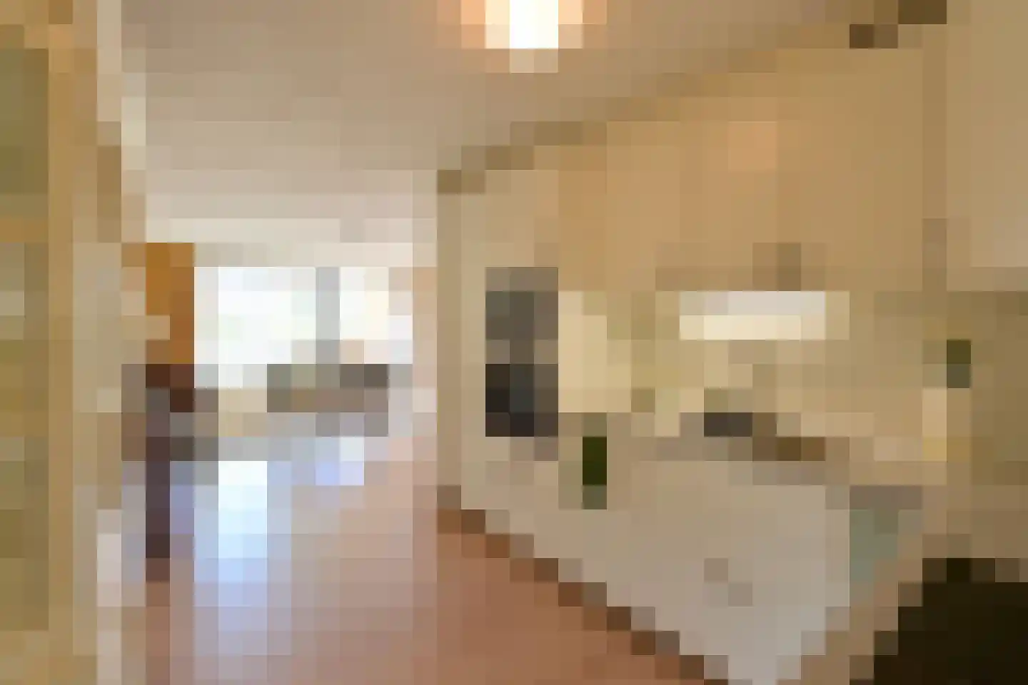 Majellapark 3 Bussum thumbnail 15