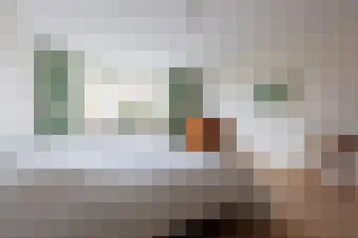 Majellapark 33 Bussum thumbnail 17