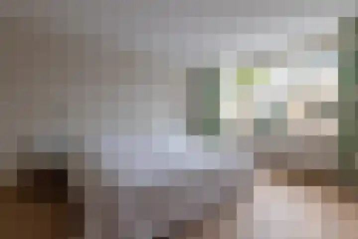 Majellapark 33 Bussum thumbnail 18