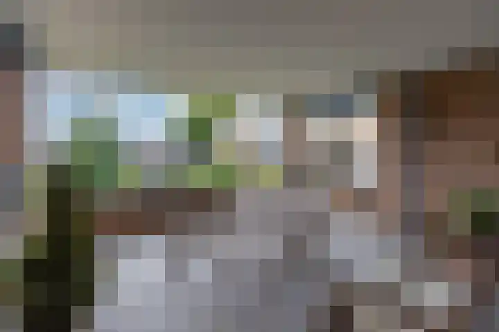 Majellapark 33 Bussum thumbnail 24
