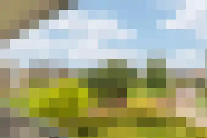 Majellapark 33 Bussum thumbnail 26
