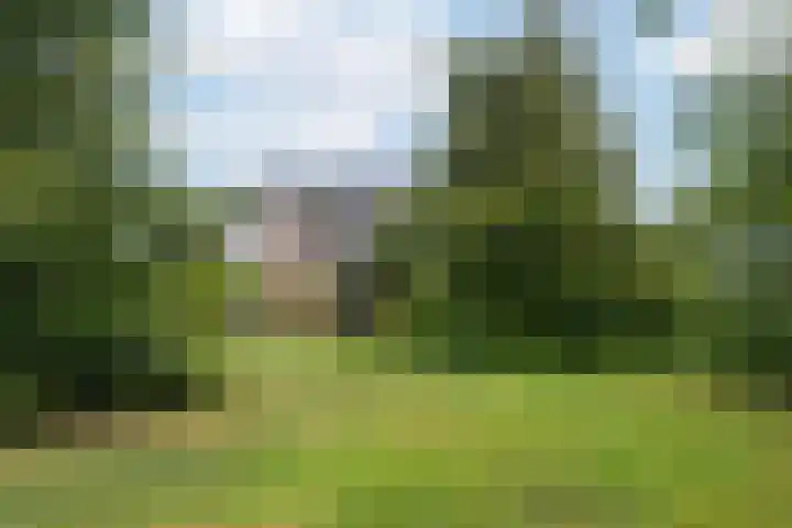 Majellapark 33 Bussum thumbnail 30