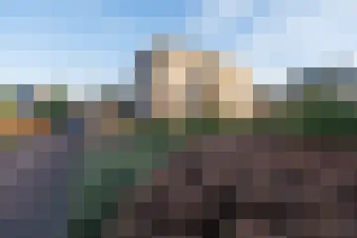 Majellapark 47 Bussum thumbnail 28