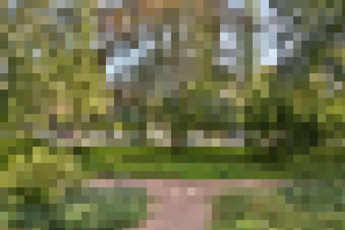 Majellapark 51 Bussum thumbnail 16