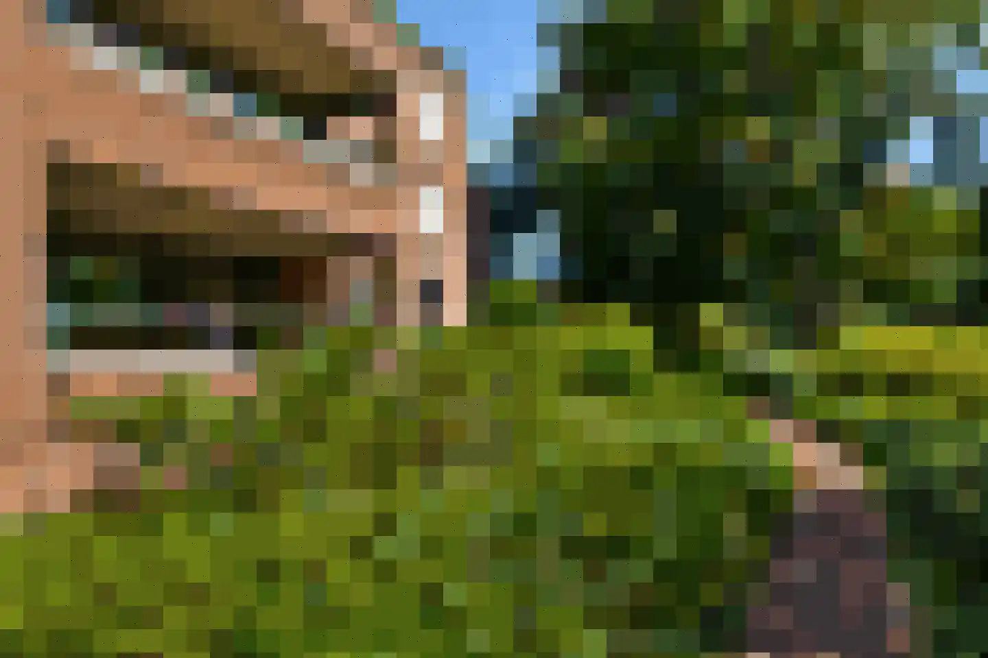 Majellapark 51 Bussum thumbnail 17