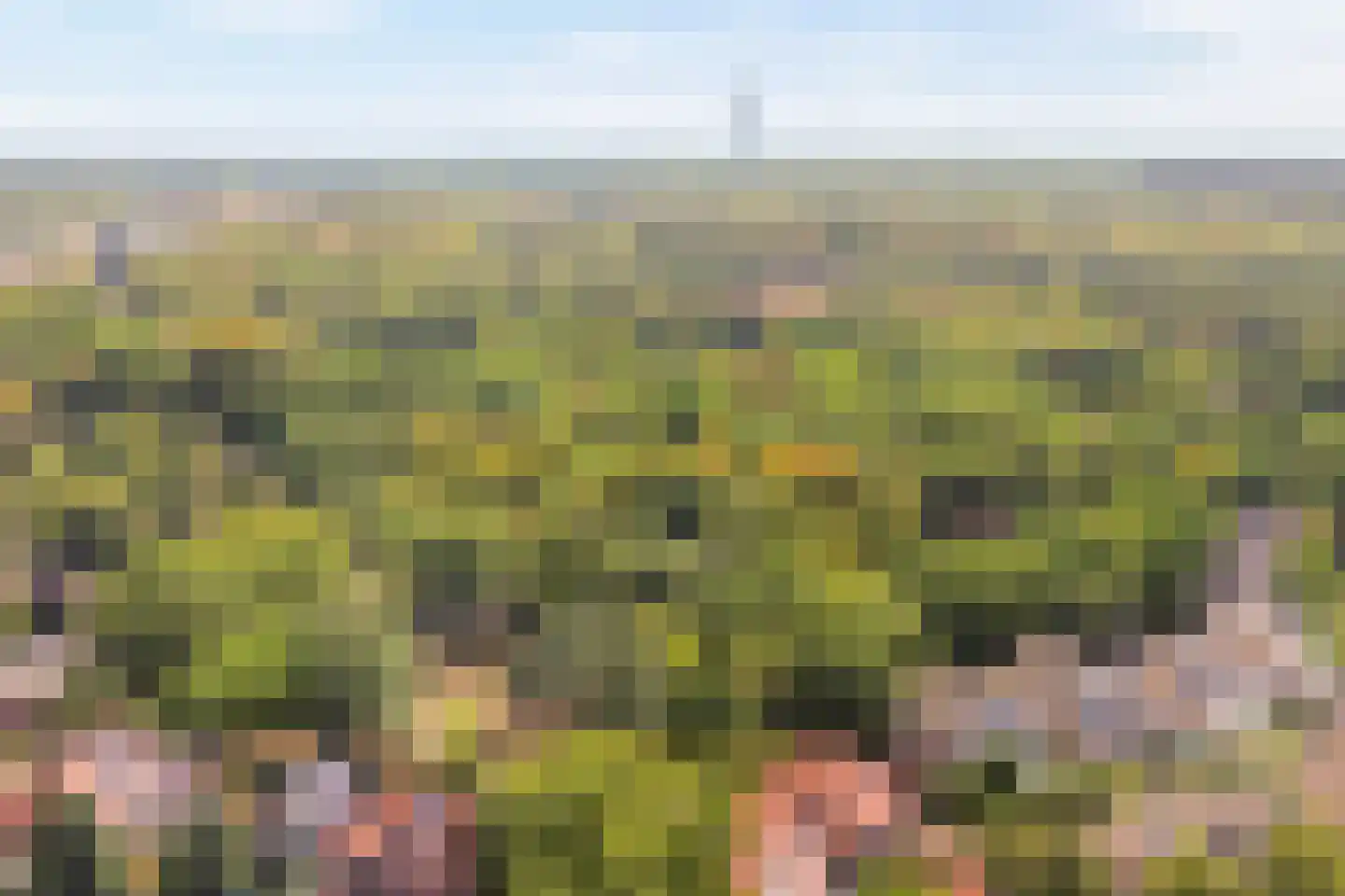 Majellapark 51 Bussum thumbnail 29