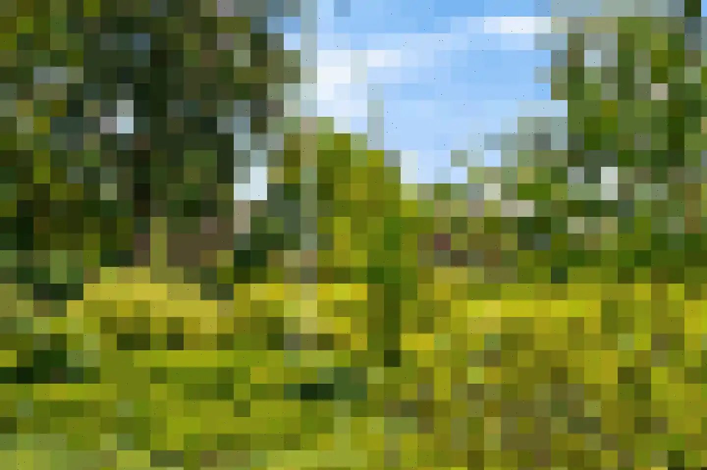 Majellapark 51 Bussum thumbnail 7