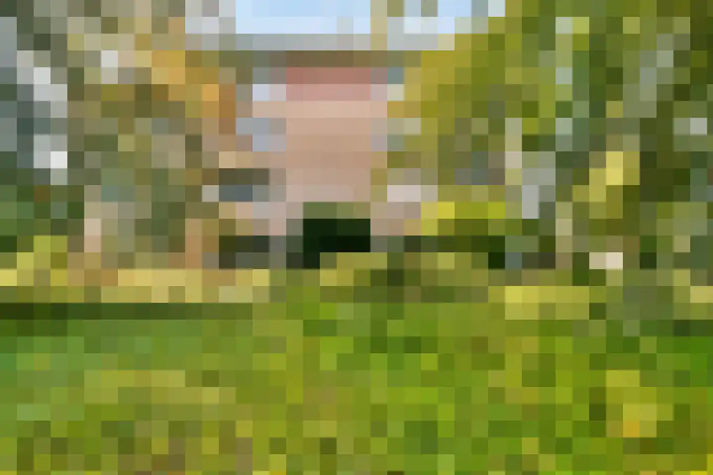 Majellapark 51 Bussum thumbnail 8