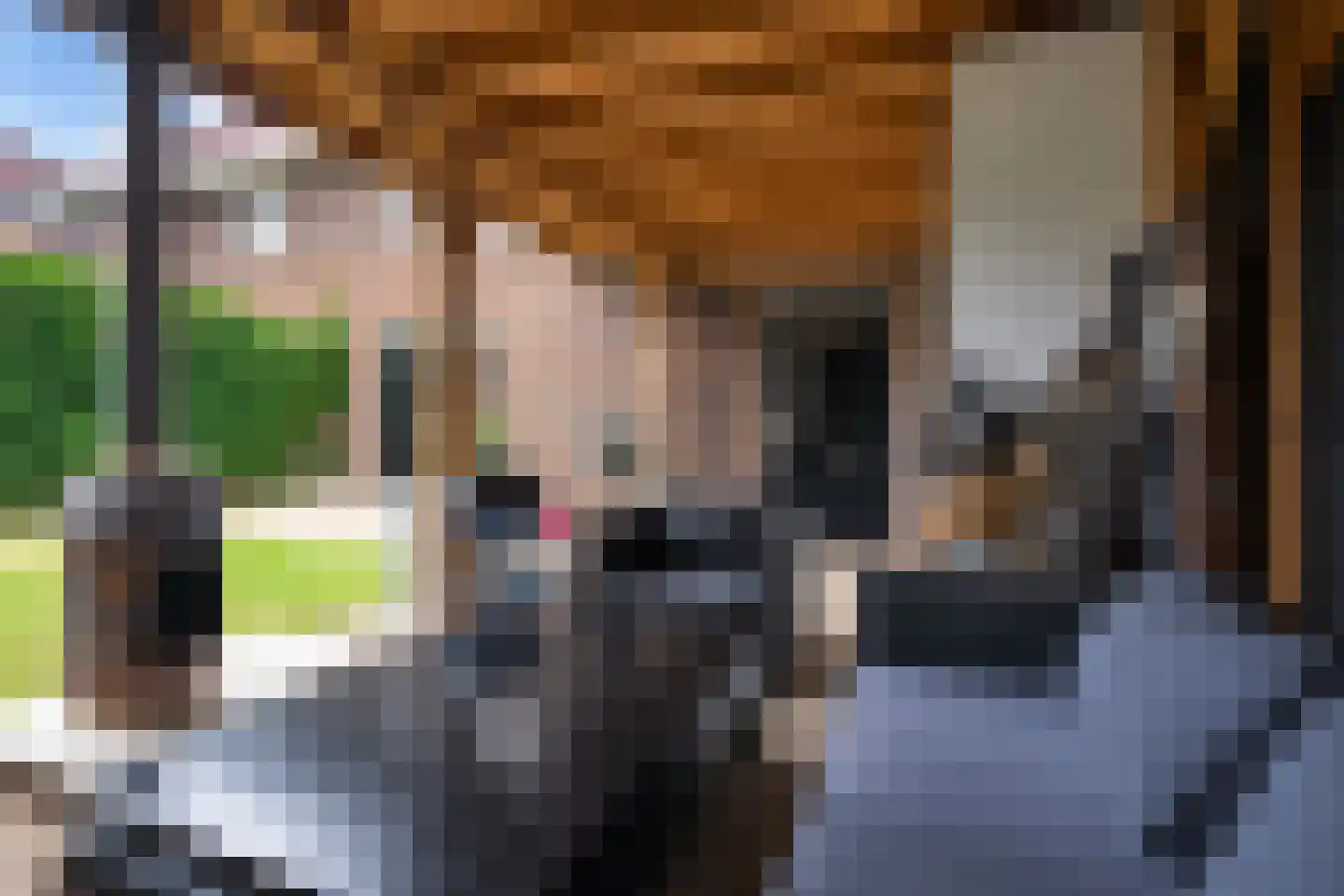 Majoor 1 Heerenveen thumbnail 26