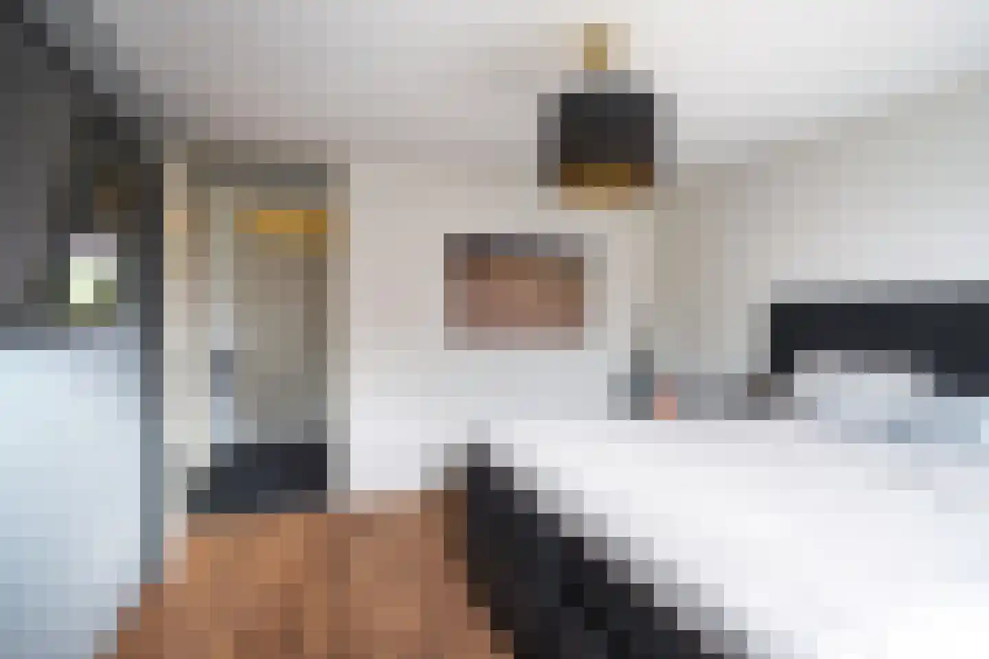 Majoor 1 Heerenveen thumbnail 35