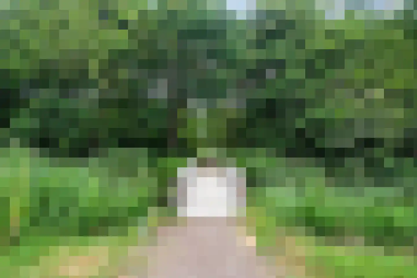 Majoor 1 Heerenveen thumbnail 46