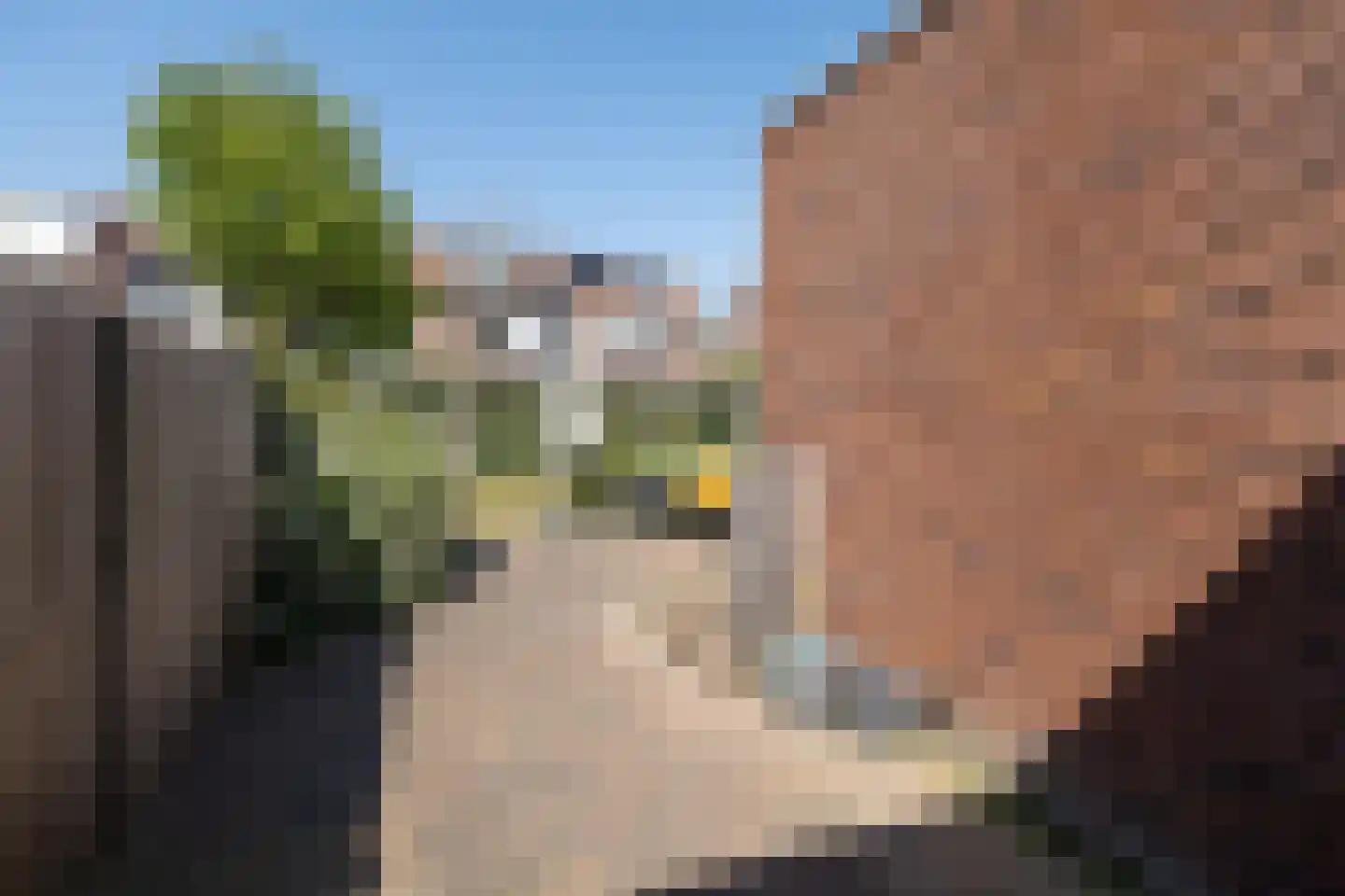 Majoor Bosshardthof 21 Driebergen-Rijsenburg thumbnail 43