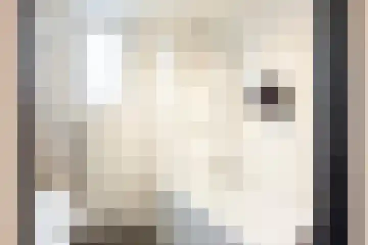 Majoor Evanslaan 25 Susteren thumbnail 21
