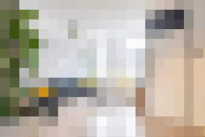 Majoor Evanslaan 25 Susteren thumbnail 6