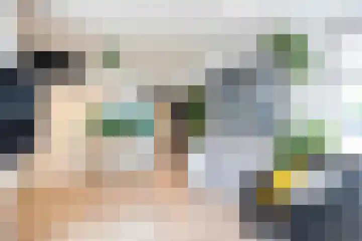 Majoor Evanslaan 25 Susteren thumbnail 9