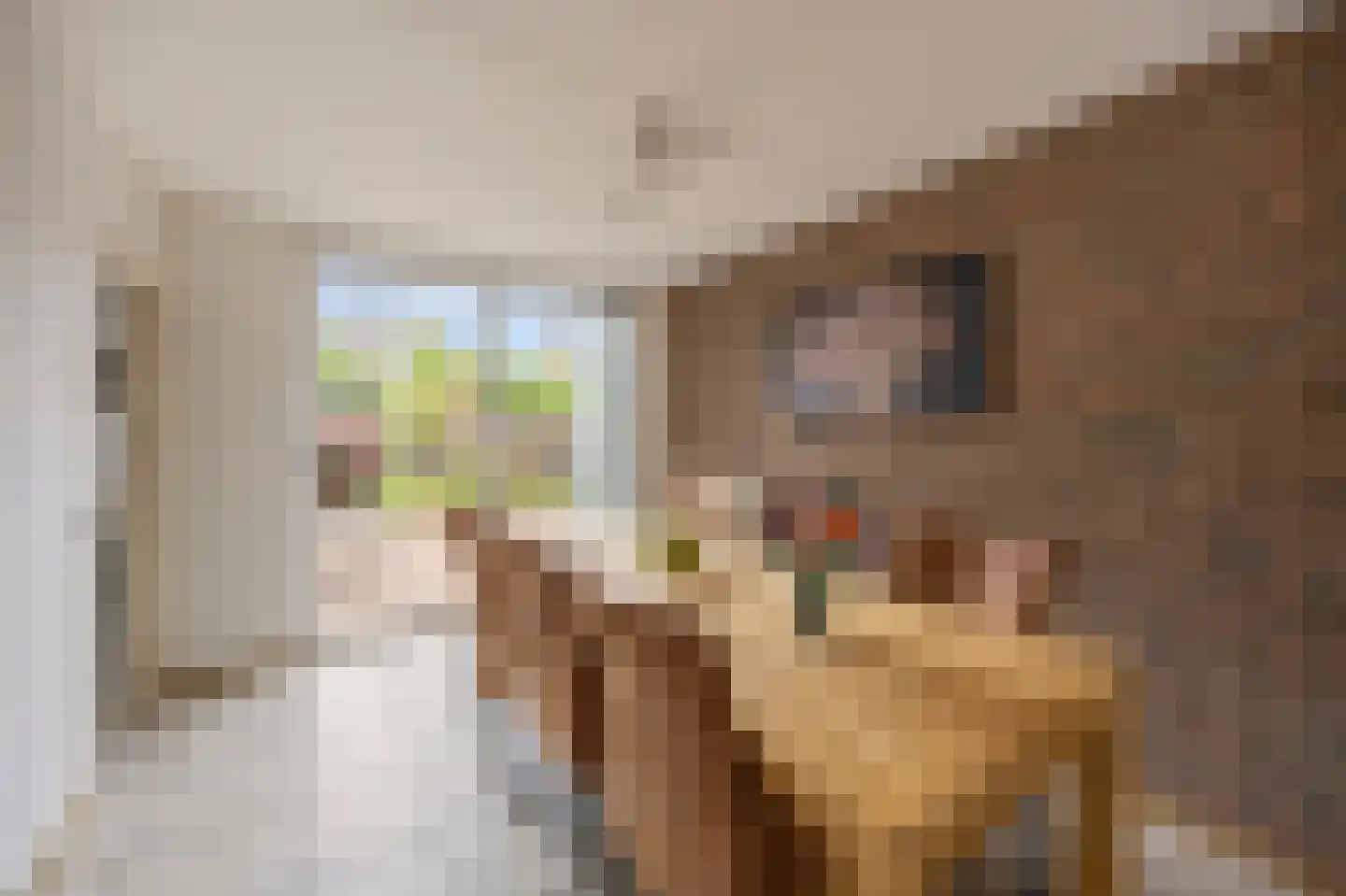 Majoor Huthstraat 15 Linne thumbnail 12