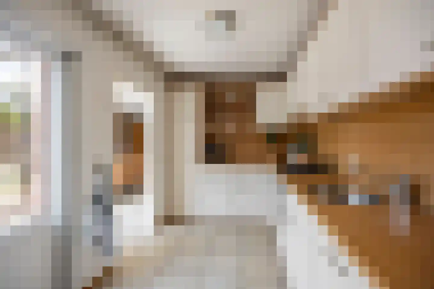 Majoor Huthstraat 15 Linne thumbnail 17