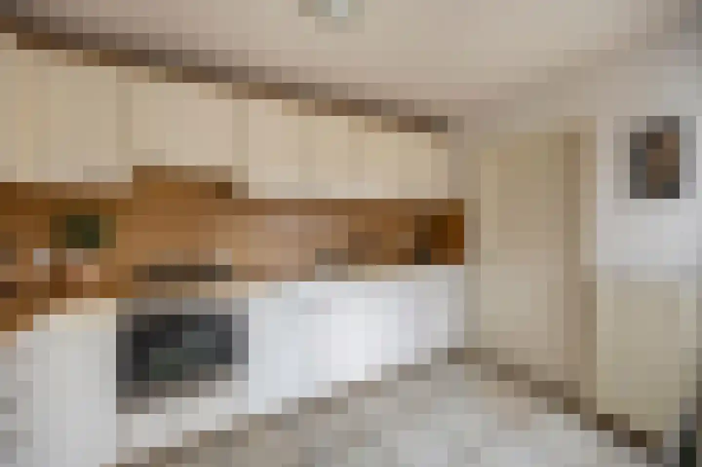 Majoor Huthstraat 15 Linne thumbnail 18