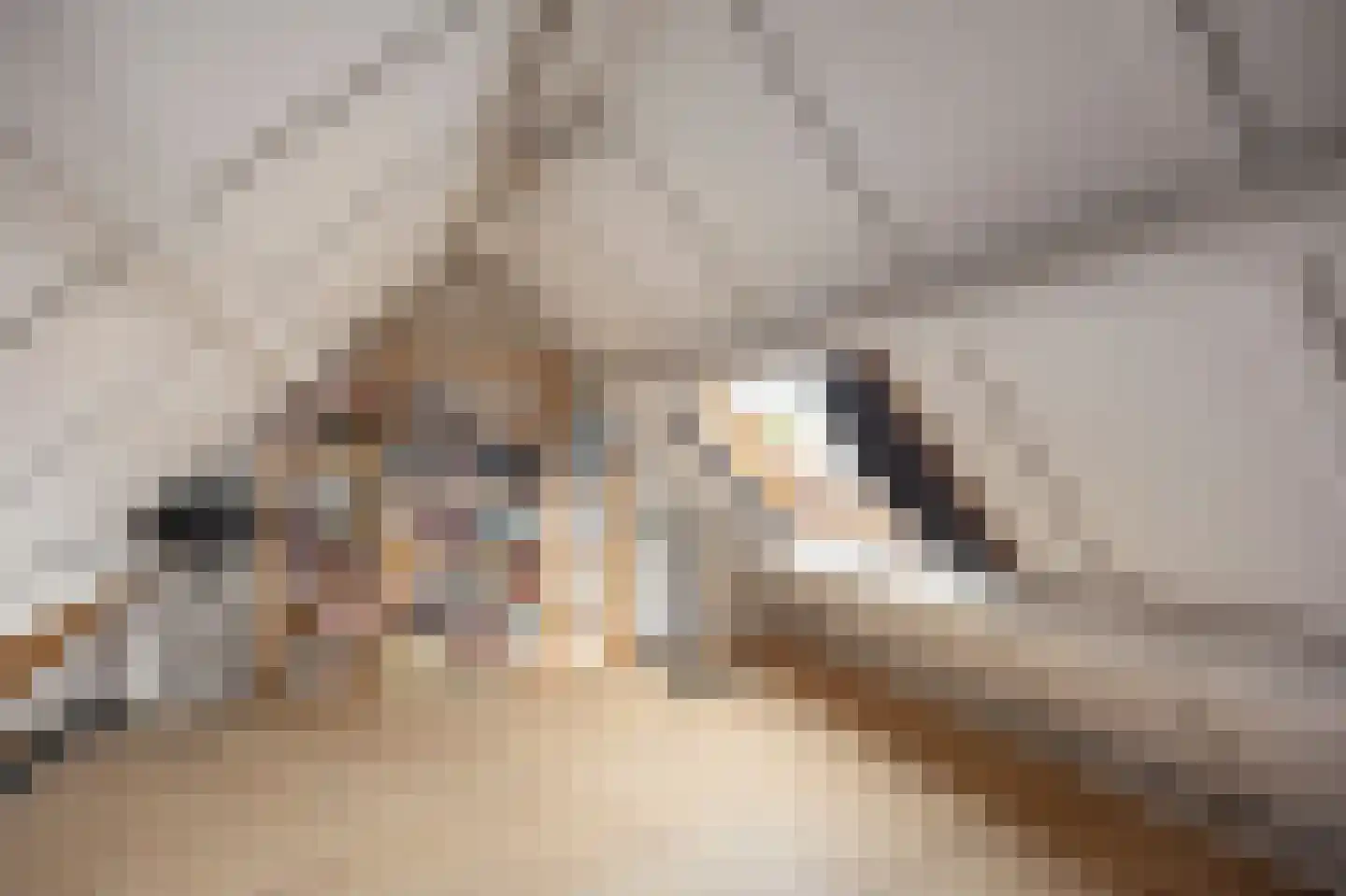 Majoor Huthstraat 15 Linne thumbnail 34