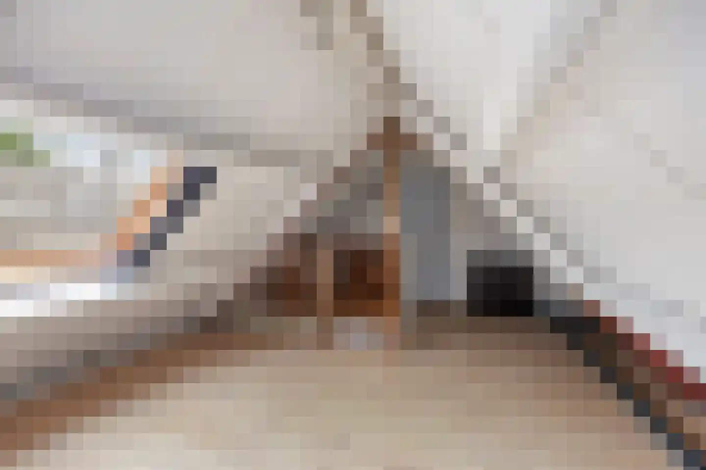 Majoor Huthstraat 15 Linne thumbnail 35