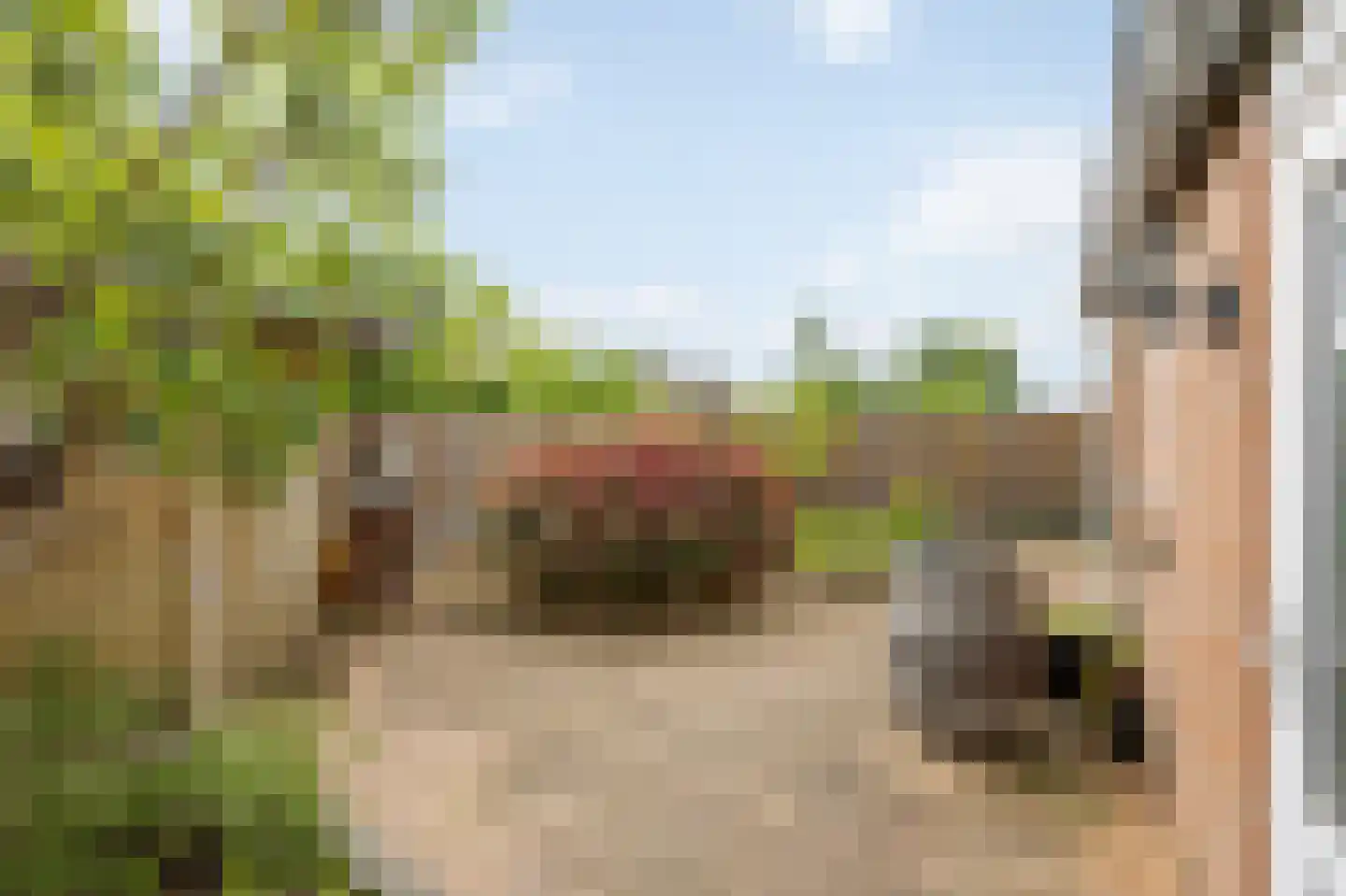Majoor Huthstraat 15 Linne thumbnail 36