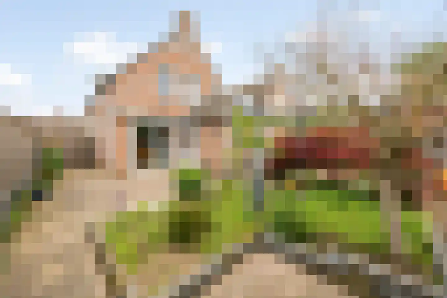 Majoor Huthstraat 15 Linne thumbnail 37