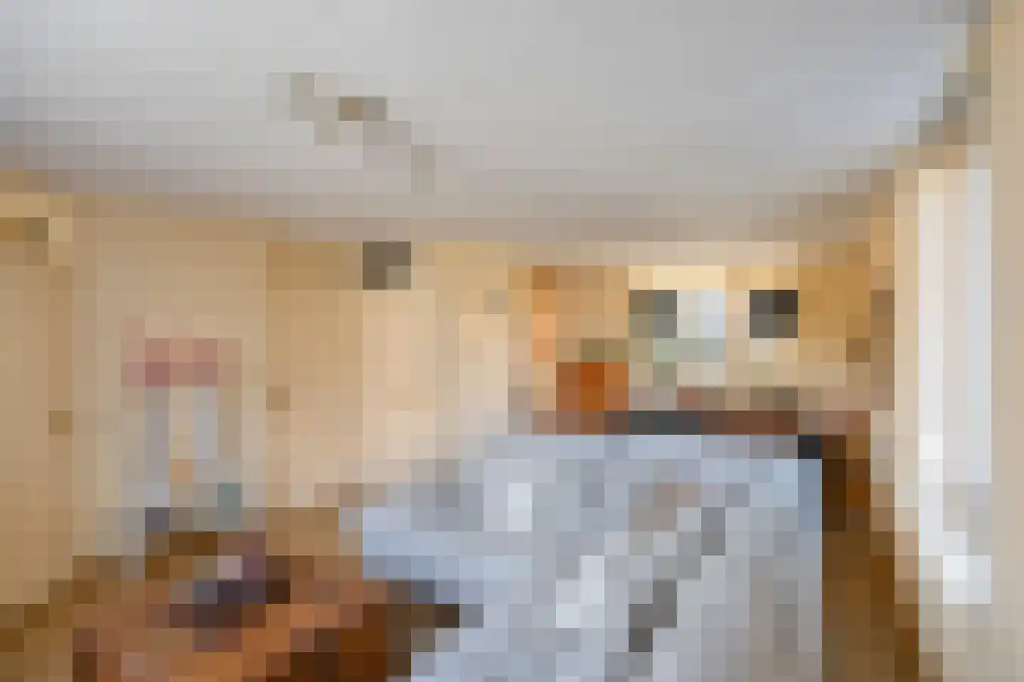 Majoor Huthstraat 49 Linne thumbnail 11