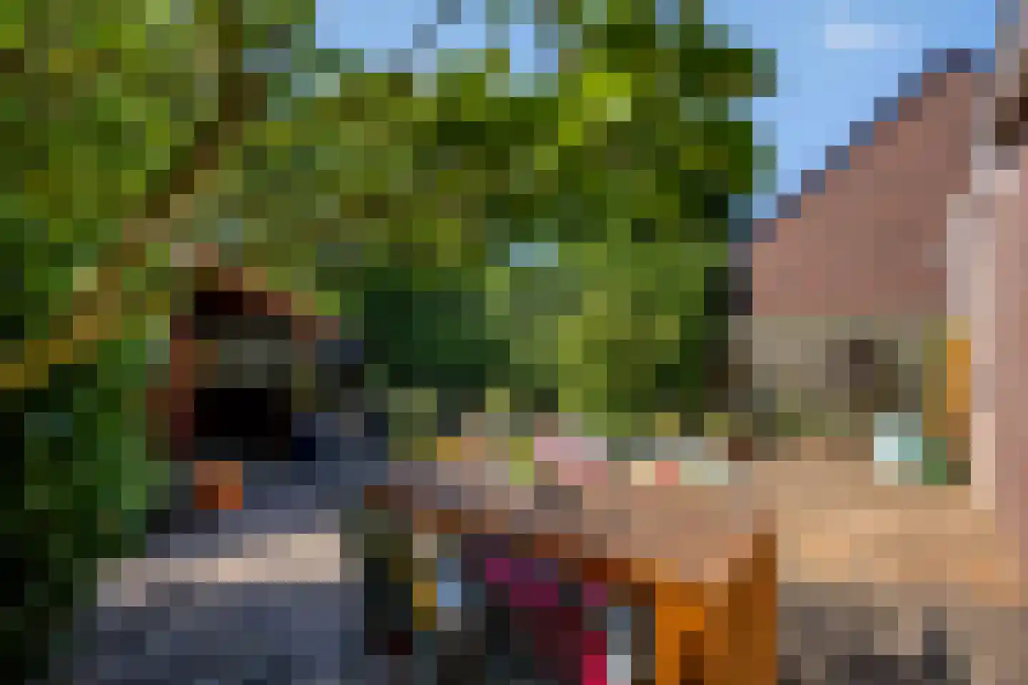 Majoor Huthstraat 49 Linne thumbnail 38