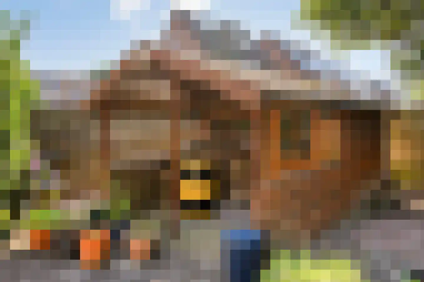 Majoor Huthstraat 49 Linne thumbnail 39