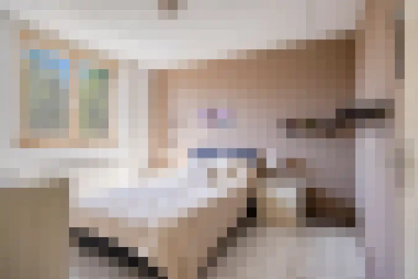 Majoor Huthstraat 49 Linne thumbnail 4