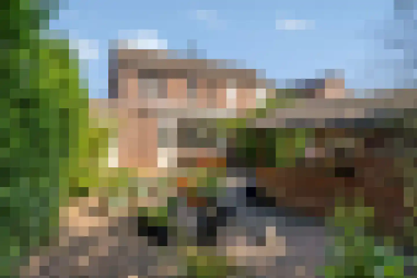 Majoor Huthstraat 49 Linne thumbnail 40