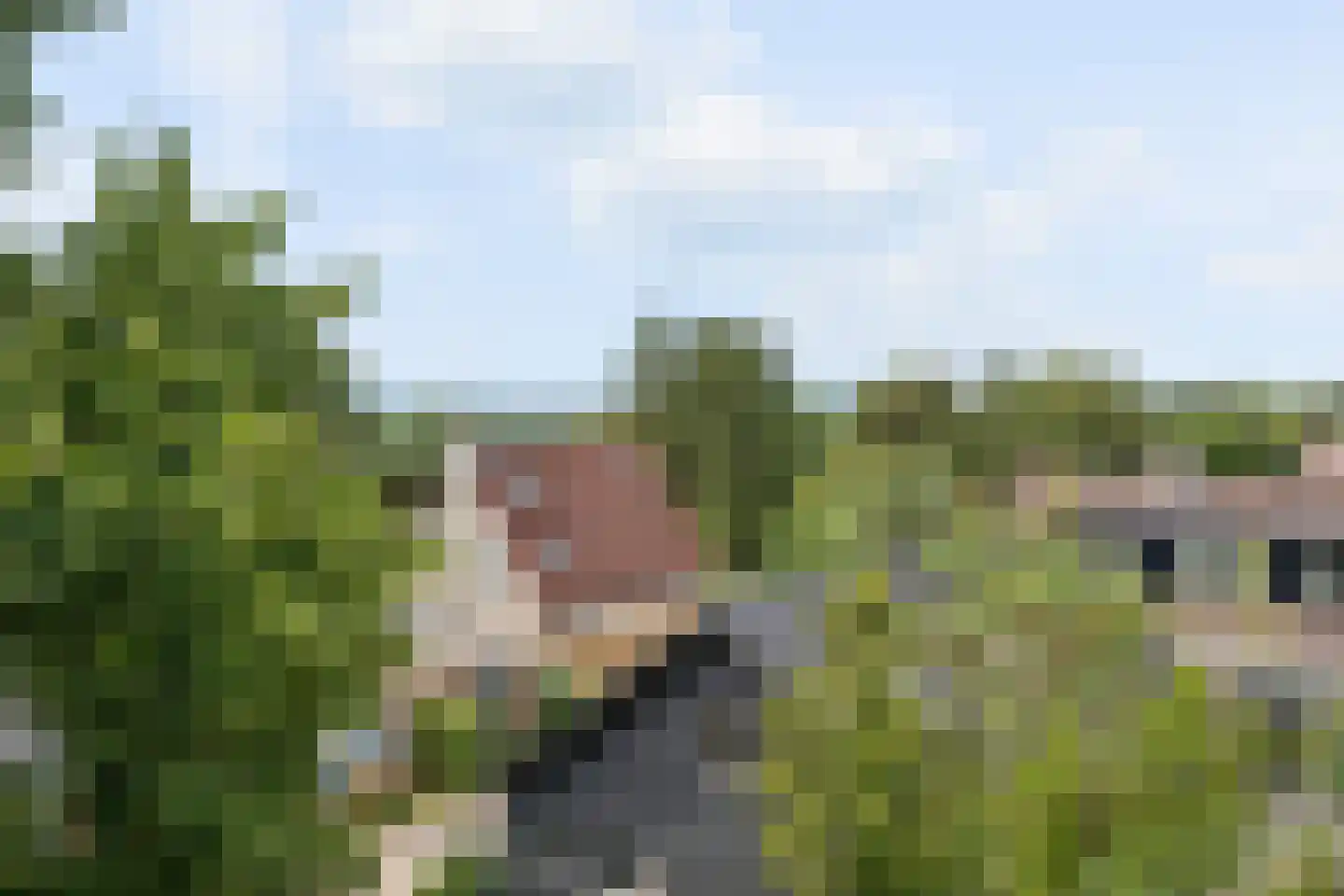 Majoor Jacomettiweg 1 Rhenen thumbnail 31