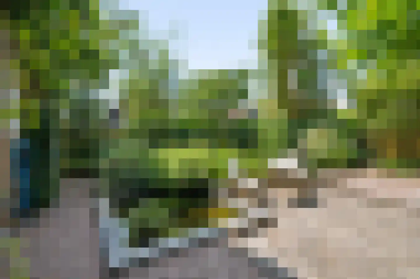 Majoor Jacomettiweg 1 Rhenen thumbnail 35