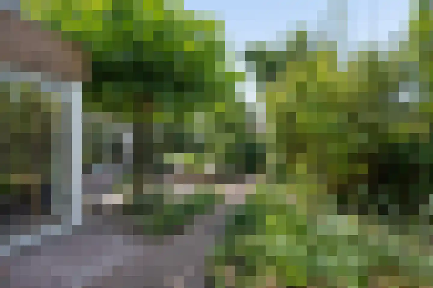 Majoor Jacomettiweg 1 Rhenen thumbnail 36