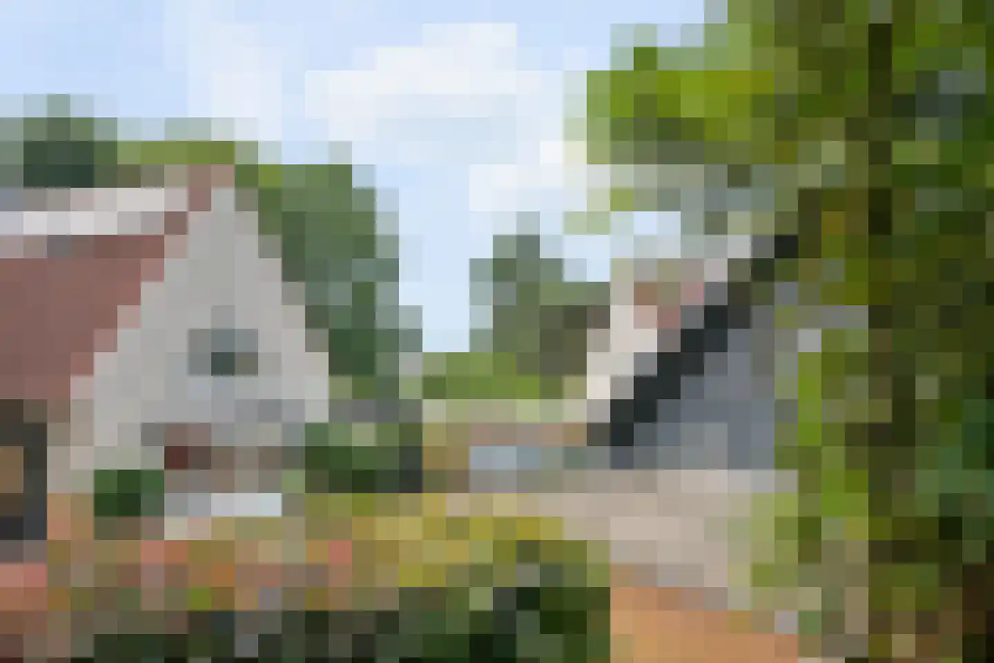 Majoor Jacomettiweg 1 Rhenen thumbnail 9