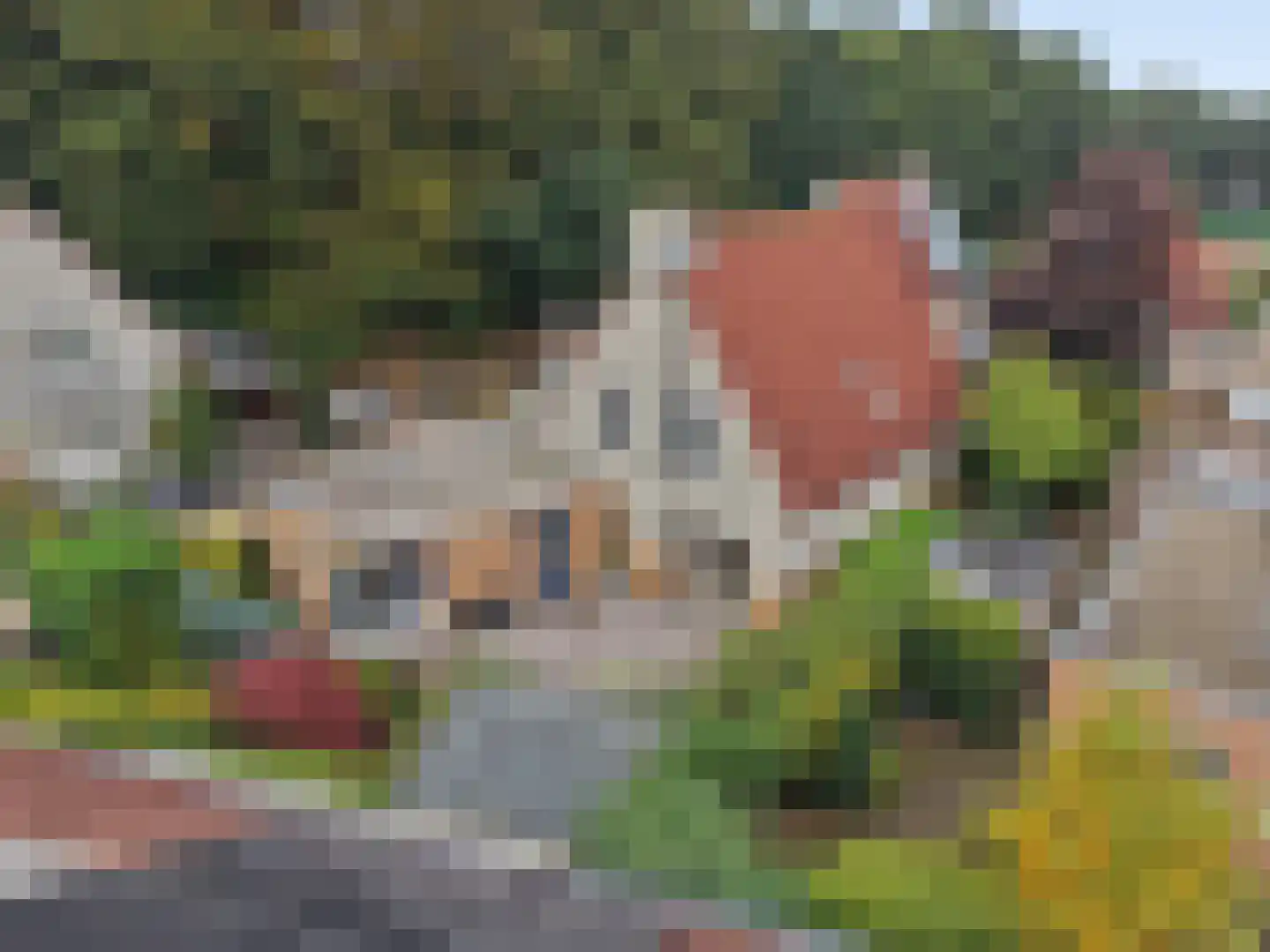 Majoor Jacomettiweg 15 Rhenen thumbnail 28