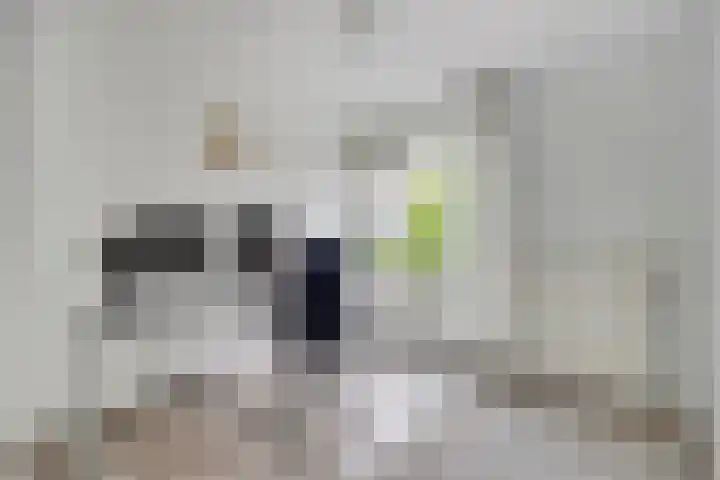 Majoor Landzaatweg 39 Rhenen thumbnail 23
