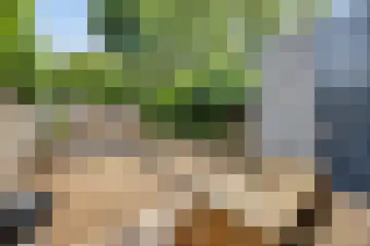 Majoor Landzaatweg 39 Rhenen thumbnail 26