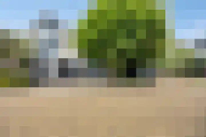 Majoor Landzaatweg 39 Rhenen thumbnail 28