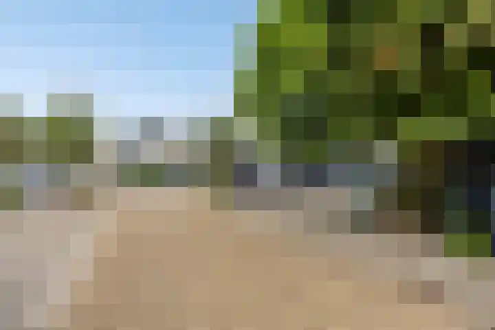 Majoor Landzaatweg 39 Rhenen thumbnail 29