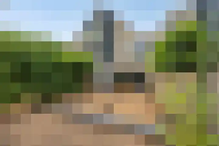 Majoor Landzaatweg 39 Rhenen thumbnail 5