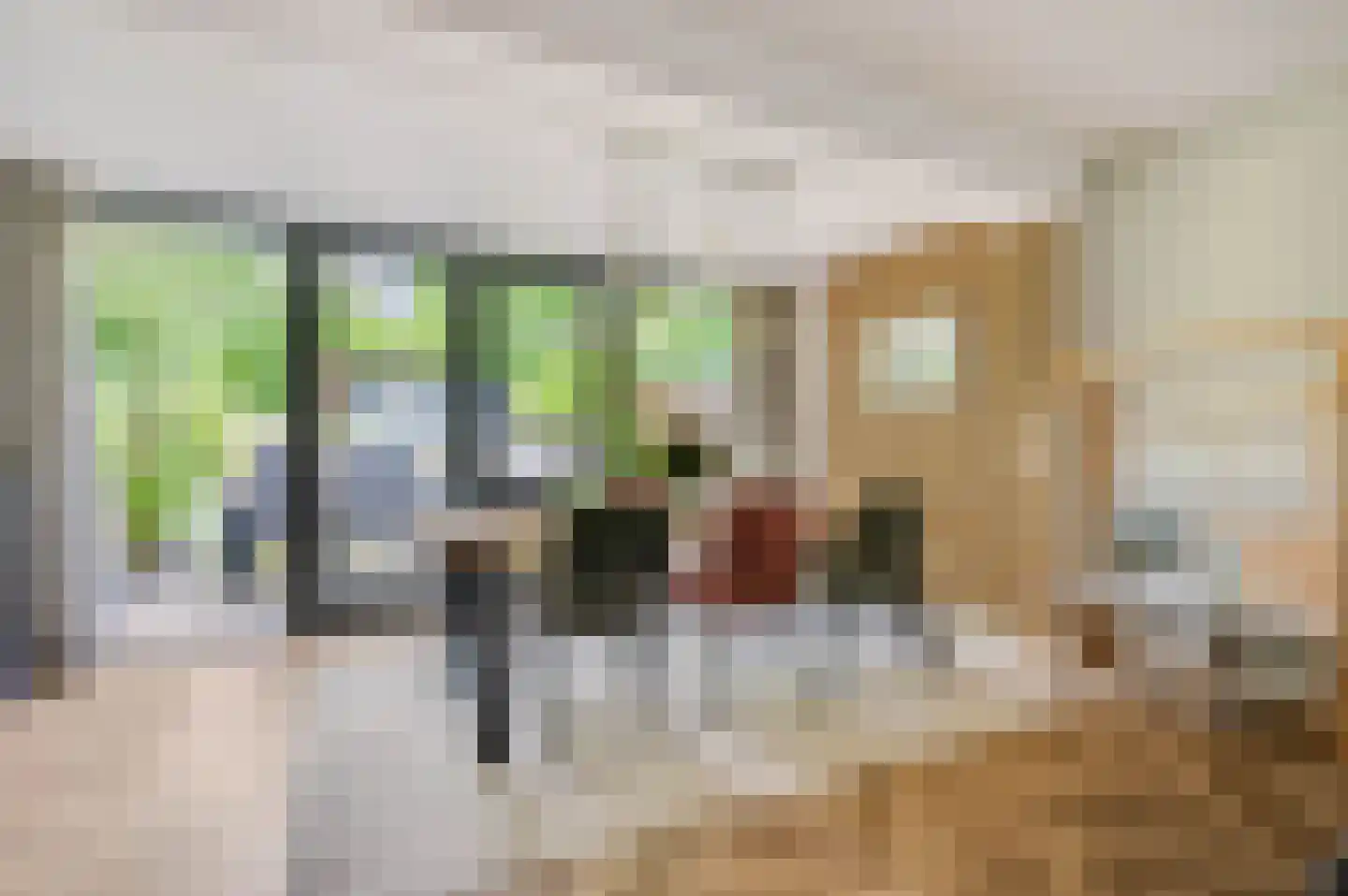 Majoor Landzaatweg 49 Rhenen thumbnail 13