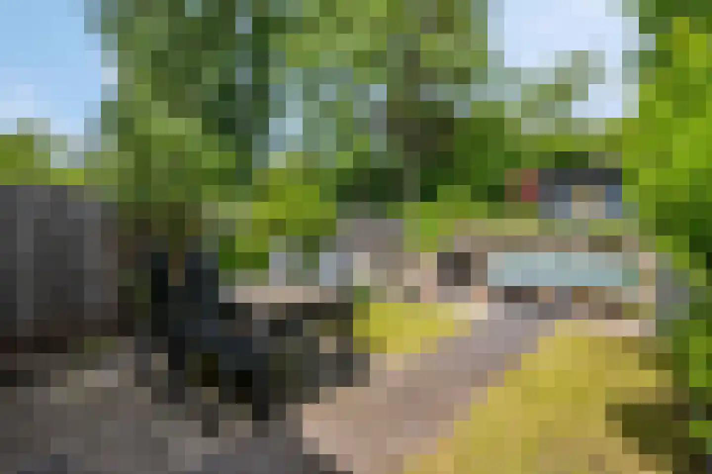 Majoor Landzaatweg 49 Rhenen thumbnail 32