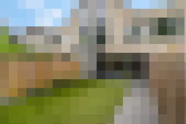 Majoor Landzaatweg 59 Rhenen thumbnail 35