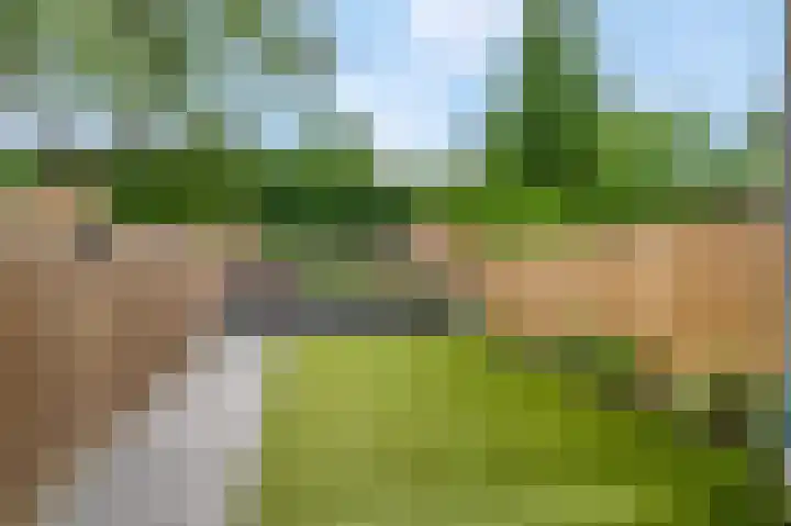 Majoor Landzaatweg 59 Rhenen thumbnail 4