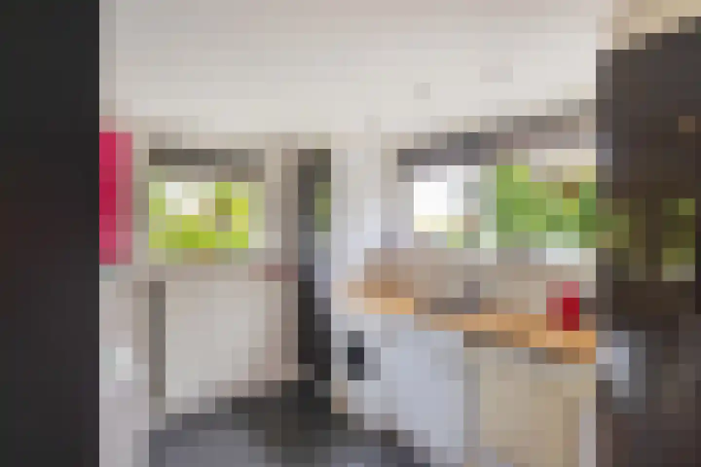 Majoor van Swietenlaan 39 Frederiksoord thumbnail 27