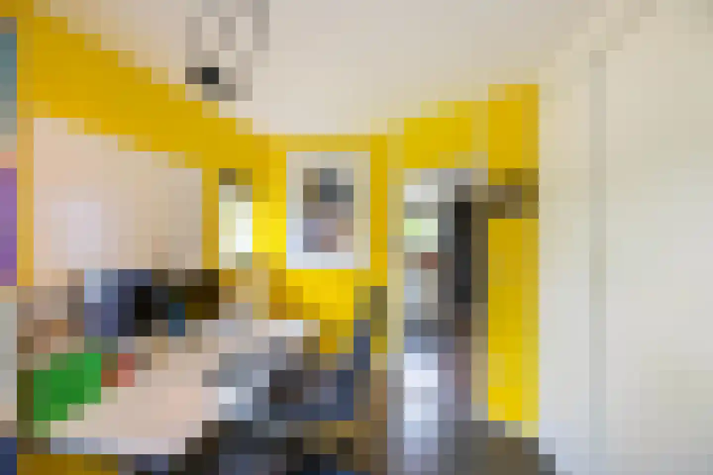 Majoor van Swietenlaan 39 Frederiksoord thumbnail 29