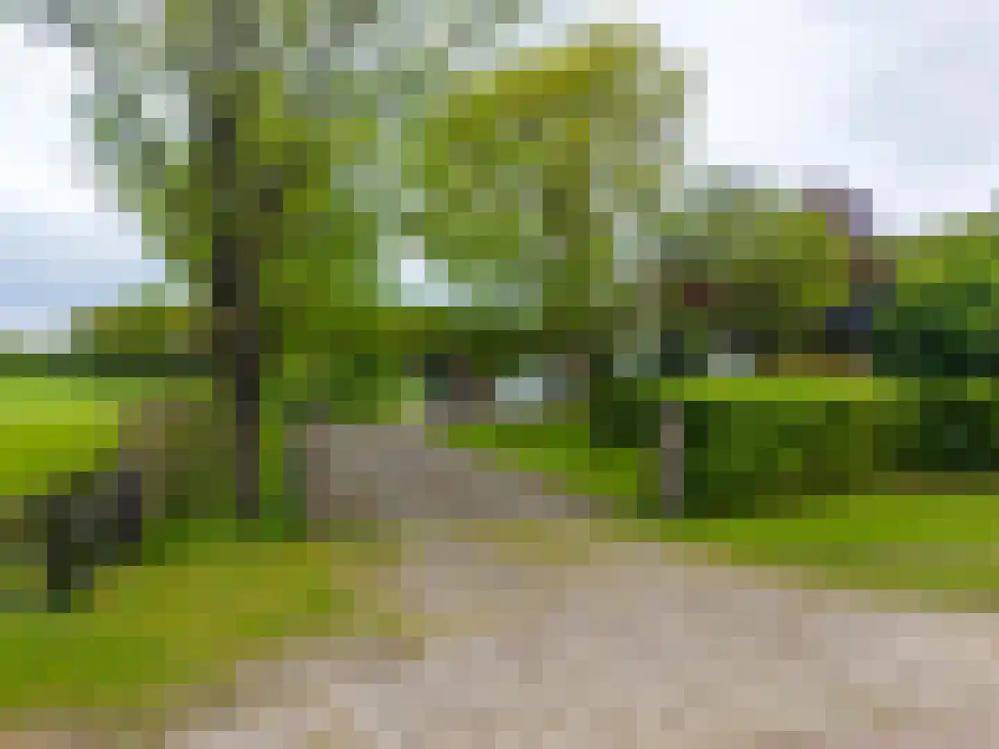 Majoor van Swietenlaan 39 Frederiksoord thumbnail 62
